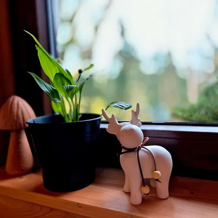 Le Cocon Et Jacuzzi *